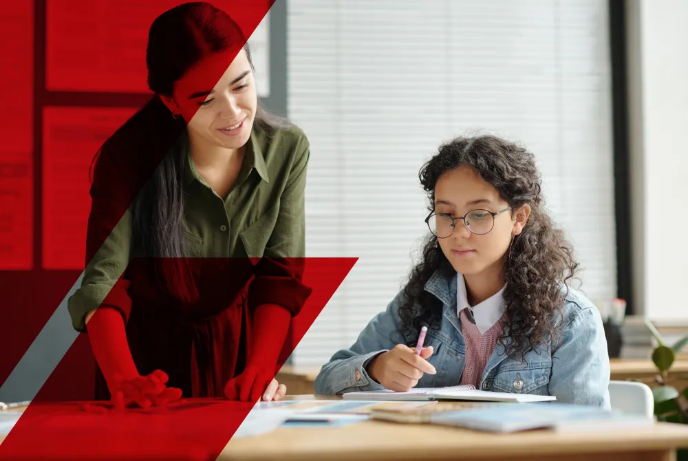 Enseñanza de los Estudios Sociales